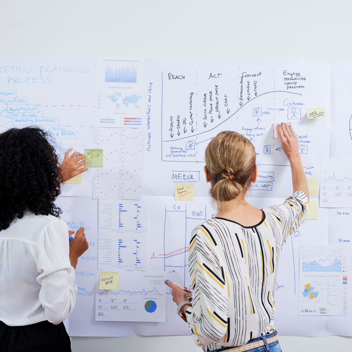 Content Creator & Digital Marketing Coordinator